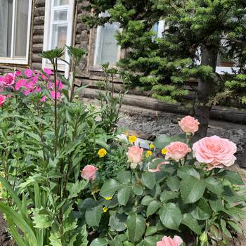 Огороды и палисадники сохранить