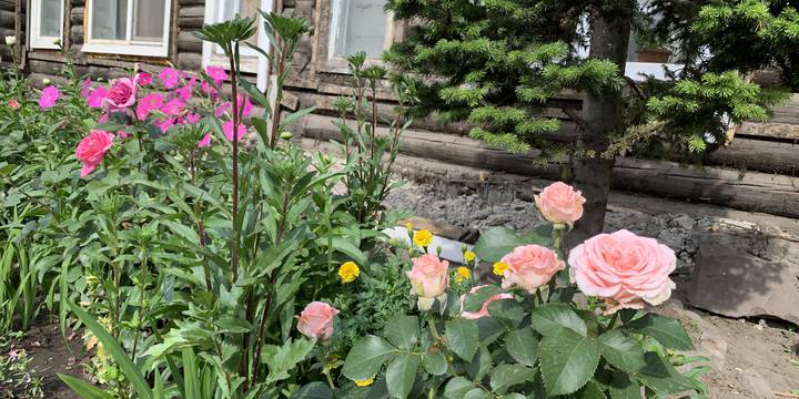 Огороды и палисадники сохранить