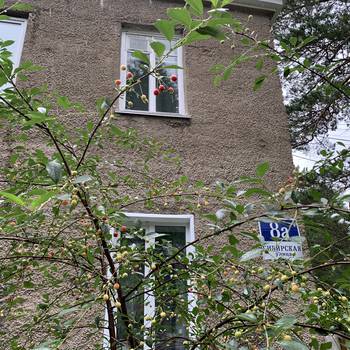 Каким должен быть ремонт, определяют собственники